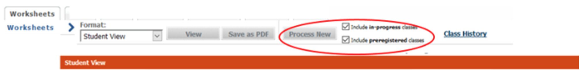 "Process New" button on Degree Works audit